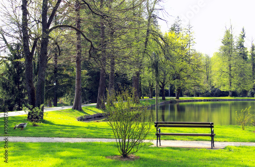 Fototapeta Naklejka Na Ścianę i Meble -  Beautiful day in a green park.