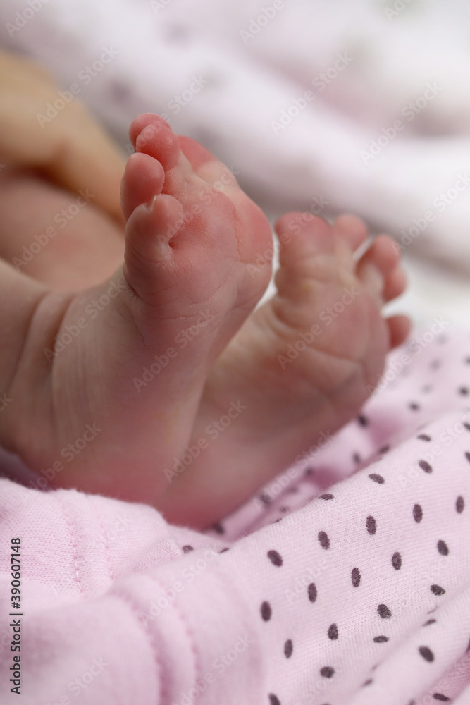 infant, Newborn baby's feet on blanket closeup. Selective focus infant, Newborn baby's feet on blanket closeup. Selective focus