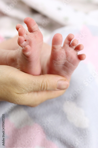 infant, Newborn baby's feet in mother's hand, vertical © Michael