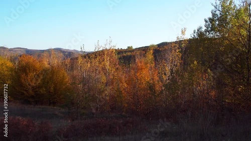 Wide View Of Colorful Foliage At Hoia Forest During Autumn In Cluj-Napoca, Transylvania, Romania. - Panning Left Shot photo