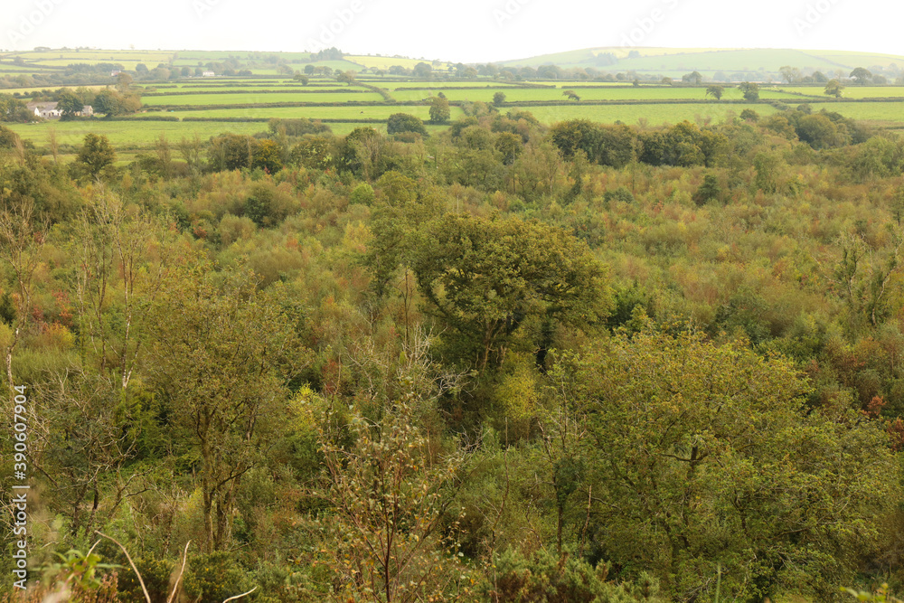 High angle view of a Wooded green valley in Pembrokeshire. High angle view of a Wooded green valley in Pembrokeshire.