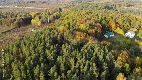 Wallpaper Mural Epic Autumn Forest Aerial Drone View. Aerial View of Autumn Forest. Fall Landscape With Red Yellow Green Trees Swaying. Mixed Forest, Green Conifers, Deciduous Trees Swaying to Wind Nature Landscape Torontodigital.ca