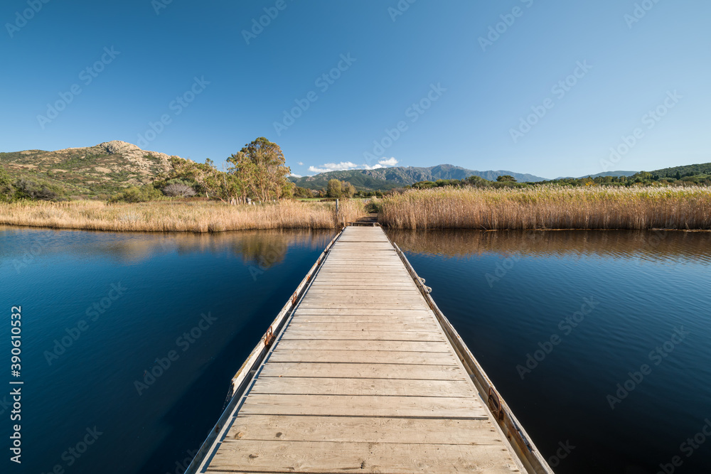 Fototapeta premium Wooden bridge at Ostriconi in Corsica