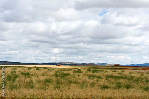 Open landscape, near Montreal Del Campo, province of Teruel, Aragon, Spain