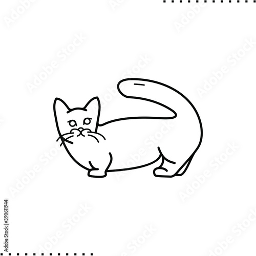 Munchkin cat, kitten breed vector icon in outlines