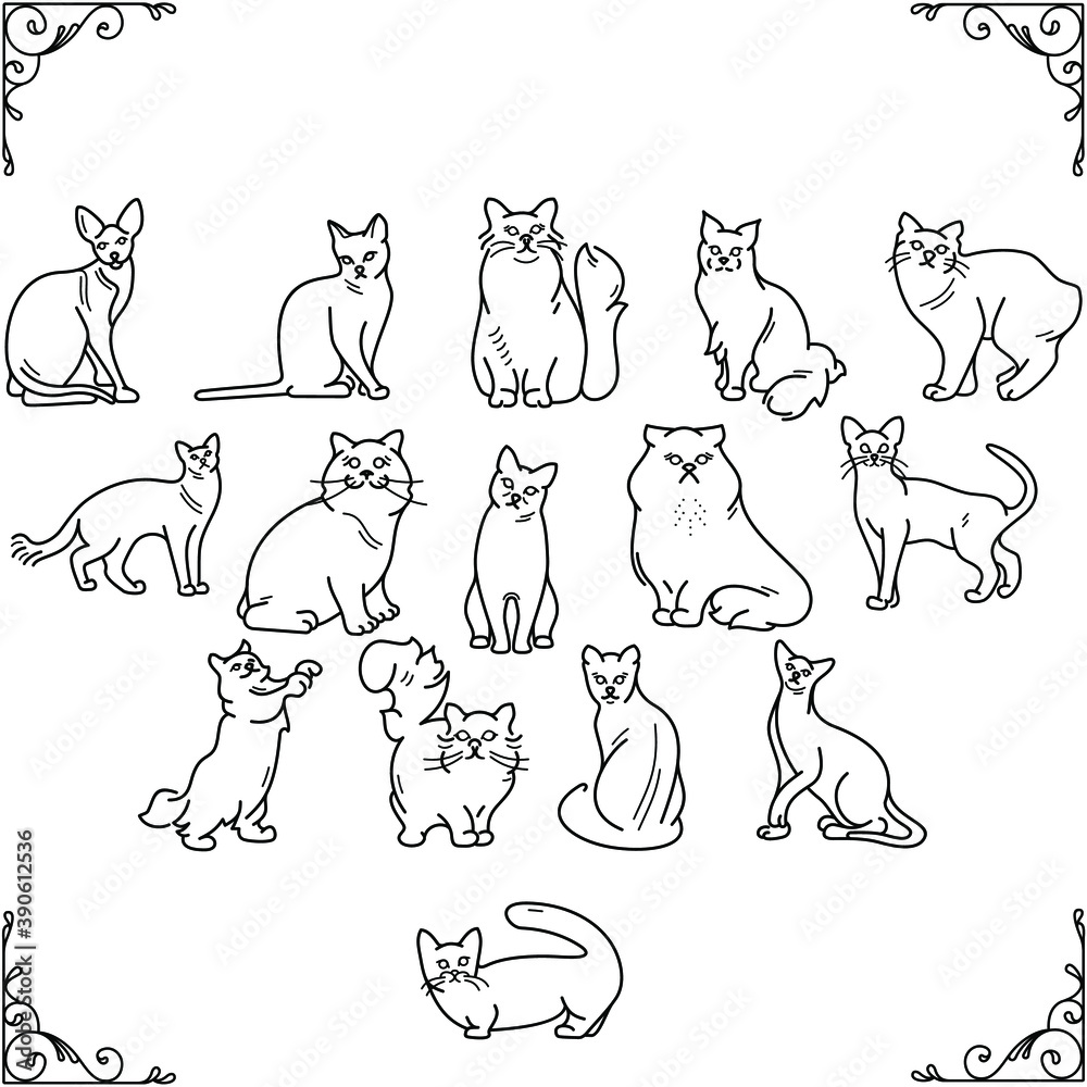 Cat breed silhouettes collection vector icon in outlines