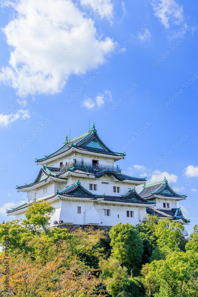 和歌山城　和歌山県和歌山市　Wakayama 
castle Wakayama-ken Wakayama city