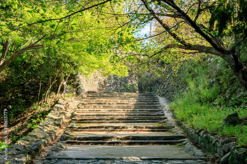                                                                      Stairs leading to the castle Wakayama castle Wakayama-ken Wakayama city