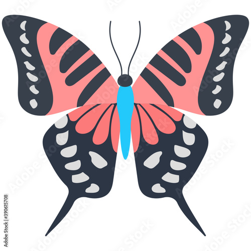 
Flat icon design of a butterfly

