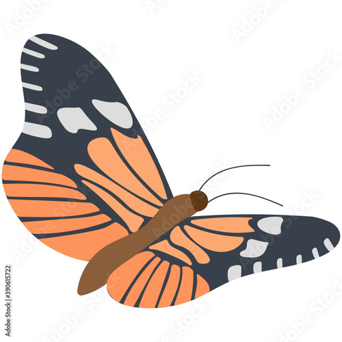 
Flat icon design of a butterfly
