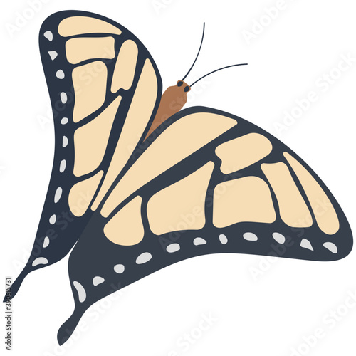 
Brown colored Swallowtail butterfly solid icon image
