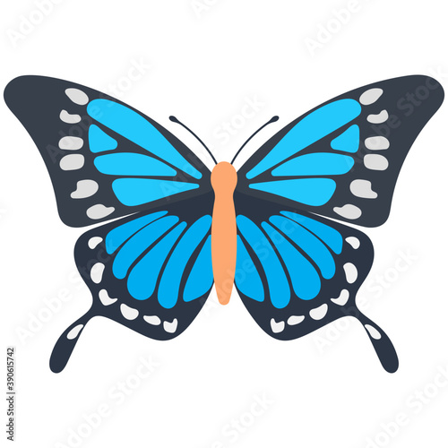 
A colored butterfly flat icon image
