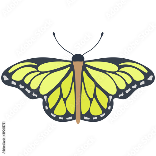 
A colored butterfly flat icon image
