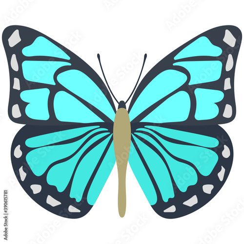 
A colored butterfly flat icon image
