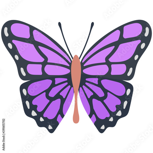 
A colored butterfly flat icon image
