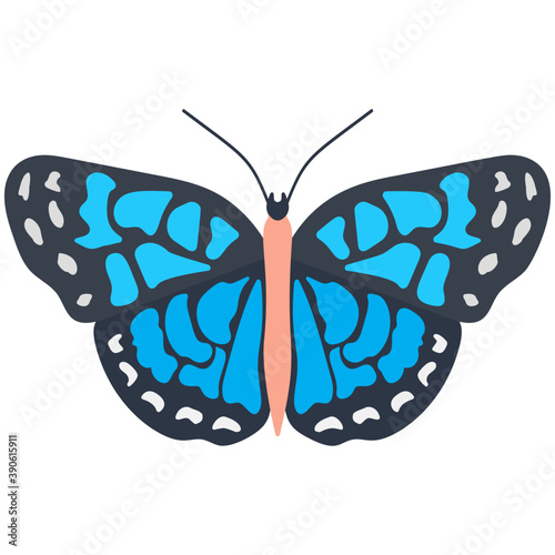 
A colored butterfly flat icon image
