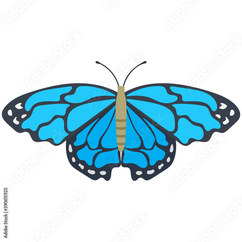 
A colored butterfly flat icon image
