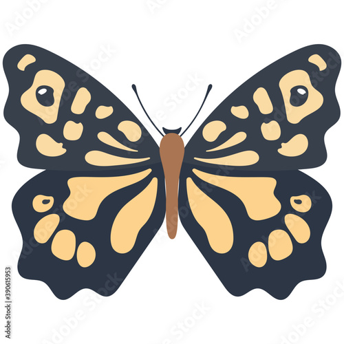 
Flat icon design of a butterfly
