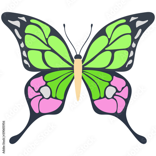 
Flat icon design of a butterfly
