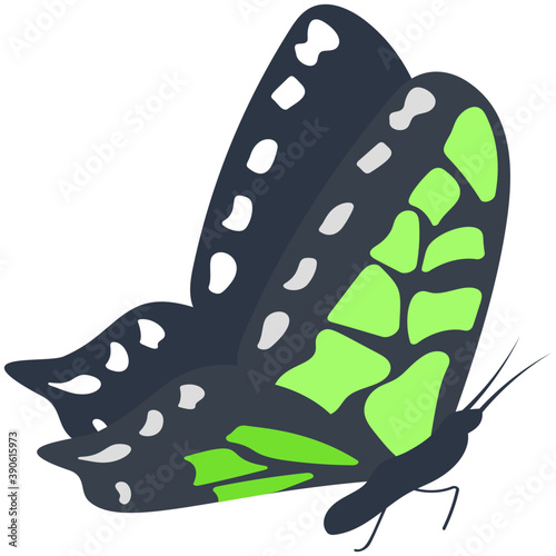 
Brown colored Swallowtail butterfly solid icon image
