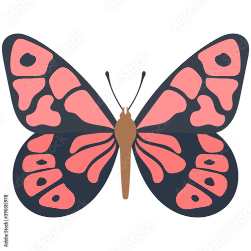 
Flat icon design of a butterfly
