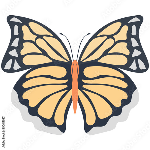 
Flat icon design of a butterfly
