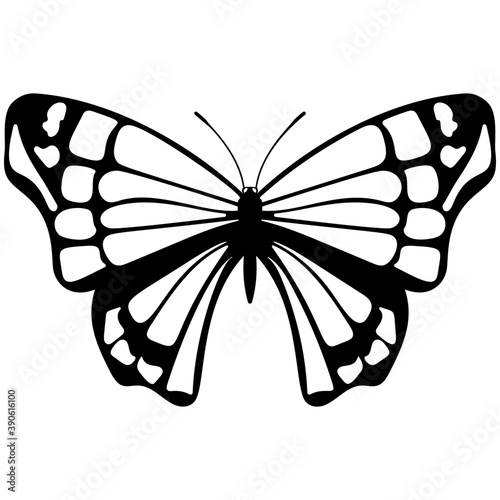 
Brown colored Swallowtail butterfly flat icon image
