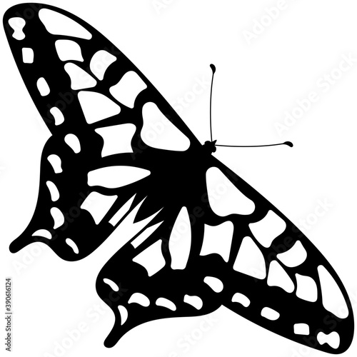
Flat icon design of a butterfly
