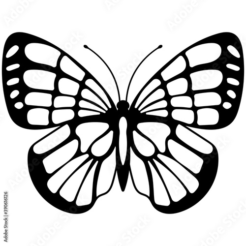 
A colored butterfly flat icon image

