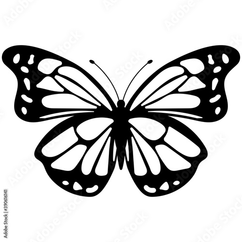 
Brown colored Swallowtail butterfly flat icon image
