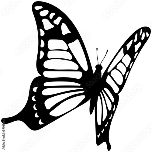 
A colored butterfly flat icon image
