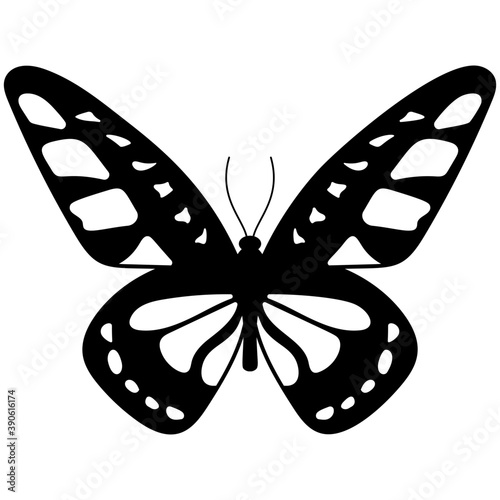 
Flat icon design of a butterfly
