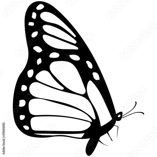 
Brown colored Swallowtail butterfly solid icon image
