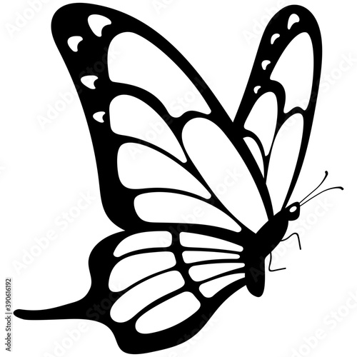 
Brown colored Swallowtail butterfly solid icon image
