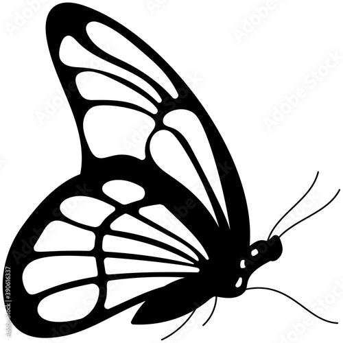
Brown colored Swallowtail butterfly solid icon image
