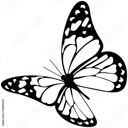 
A colored butterfly flat icon image
