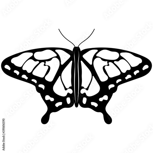 
Brown colored Swallowtail butterfly flat icon image
