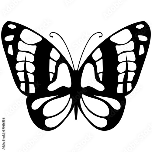 
A colored butterfly flat icon image
