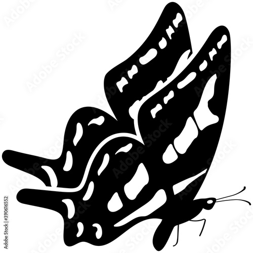 
Brown colored Swallowtail butterfly solid icon image
