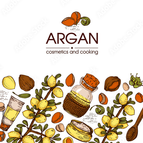 Composition with branch argan tree with fruits, nuts argans, leaves and accessories Detailed hand-drawn sketches, vector botanical illustration.
