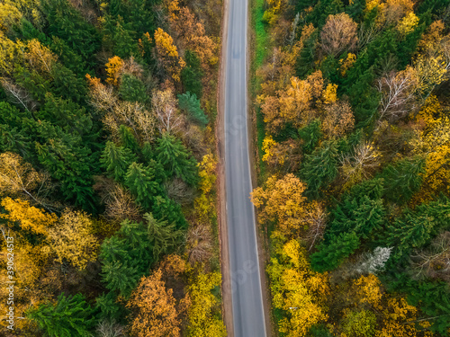 Empty straight road in a beautiful autumn forest, photo from a drone. Beautiful autumn forest landscape, top view. © yaroslav1986