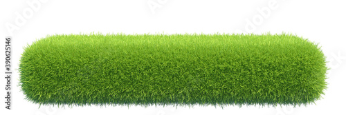 Grass box isolated on white background, 3d rendering.