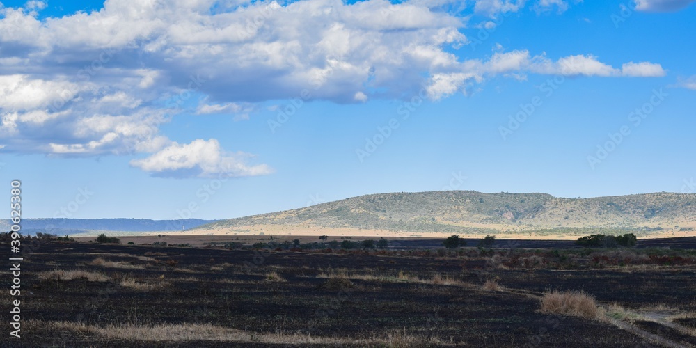 Kenya: landscape of maasai mara park