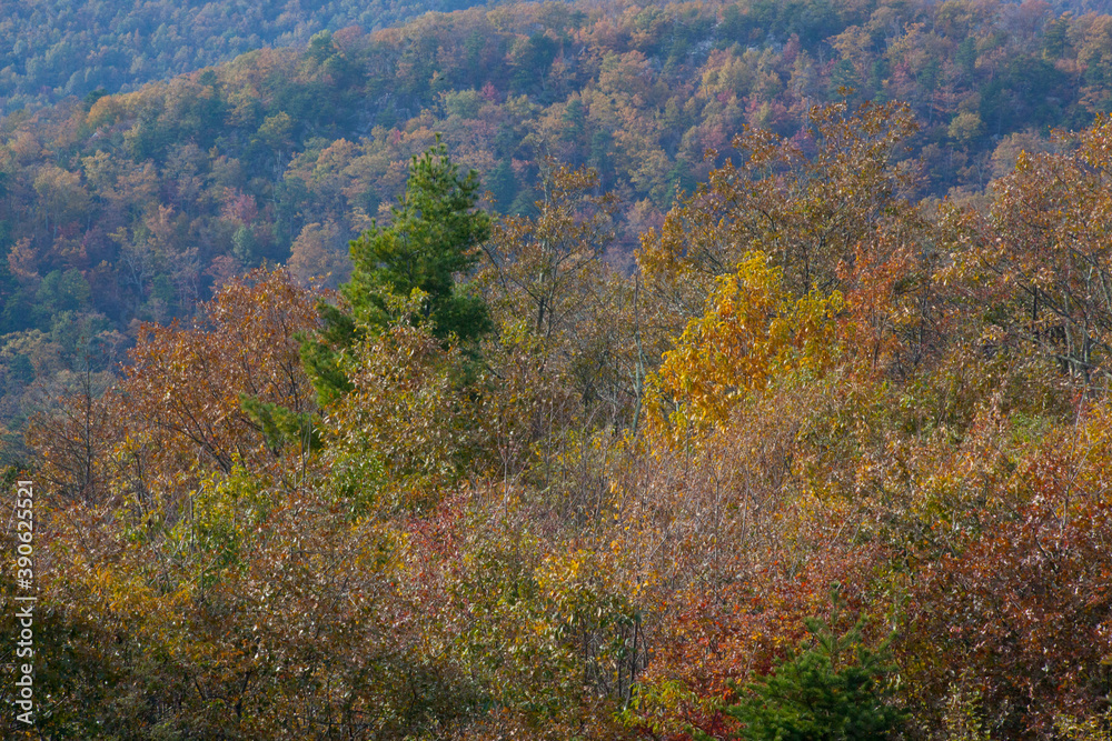 Fall colors in wooded mountains