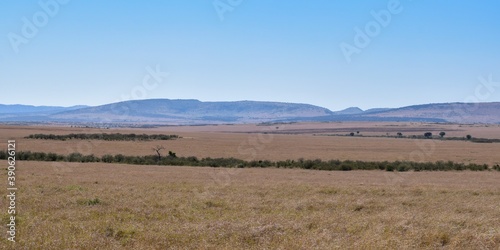 Kenya: landscape of maasai mara park