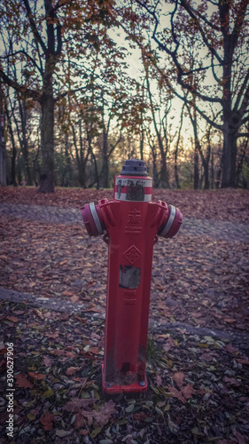 red fire hydrant in a park,