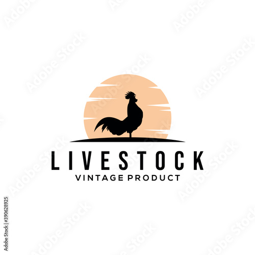 chicken farm logo vector illustration design, rooster on fence vintage logo design