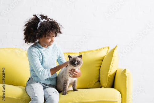 Positive african american girl with headband stroking at looking at siamese cat, while sitting on sofa at home © LIGHTFIELD STUDIOS