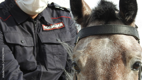Russian equestrian police