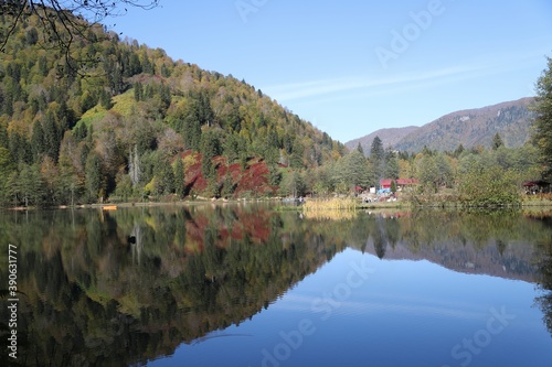 Beautiful colored trees with lake in autumn, landscape photography. Artvin/turkey